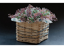 ���������� �����