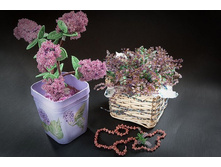 ����� ������ � ���������� �����