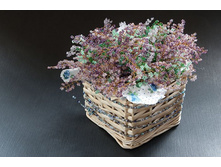 ���������� �����