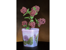 ����� ������