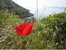 �� ���� �����