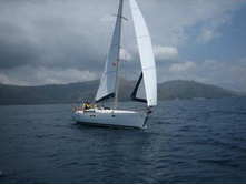 ��� ��� �� �������