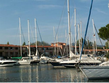 ���� �����