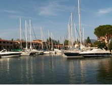 ���� ����� (5)