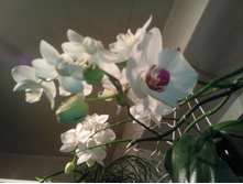 ����������� 034.jpg