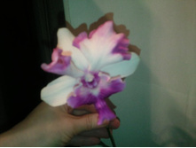 ����������� 035.jpg