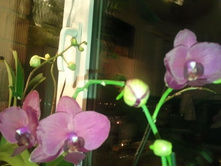 ����������� 036.jpg