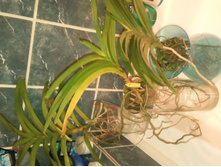 ����������� 029.jpg