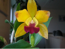 ����������� 005.jpg