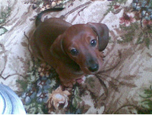 ������ ���� ����))