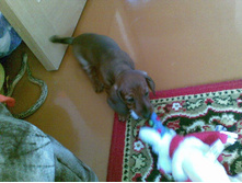 ������� ����� ������� )))