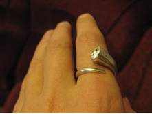 ������ ��������