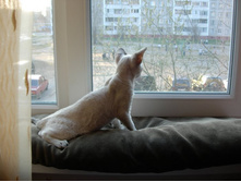 �� ����...