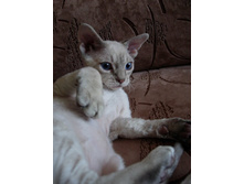 ��������