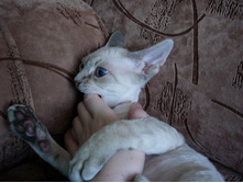 ��������...