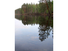 ������ �������