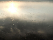 ����� �� �������