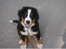 ������ ��� �����.