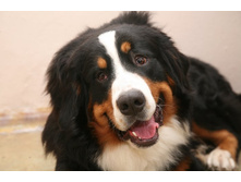 ��� 10 �������! 