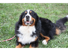 ������ 2010.