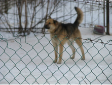 �� ��ۣ����.JPG