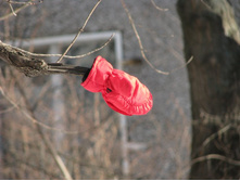 �� ����.JPG