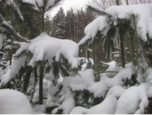 ���� �����..