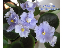 ����� ��������.jpg