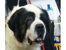 ���� ������������.jpg