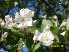 �����! ������ ������! 