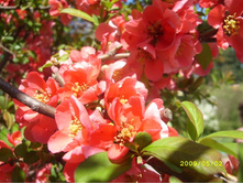 �������� ����