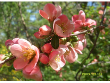 �ݣ ������� �������� ����