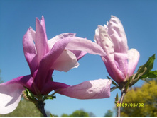 ���� ��������� ��������, �� ������ ������� :)