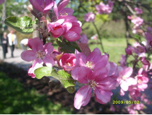 �����-�� ������ ��� ������