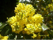 ������� �������������