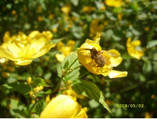 ������ � ��������� :) 