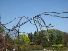 �� ������? ��. ����.���� :))) 