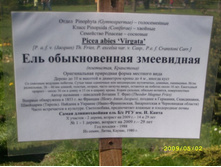 ����������� � ����� ���� ���� :) 