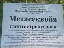 ������ - ������ ���� :) 