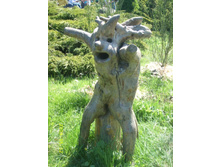 ��������� ����