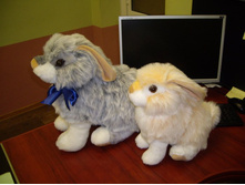 ������ ����� 315 ��� � ������� 415 ���.JPG