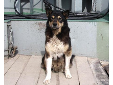 ������ �����