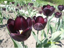 ������ - �� ������ �������� ;) 