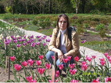 ����, ���������������