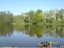 �������� ����