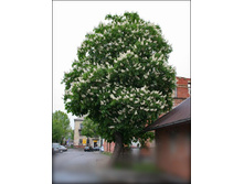 ��� ��� ��� ��������� �� �������