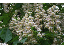 ������� � ������ ������� :) 