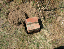 ��� ����� �������� � ��� ����������