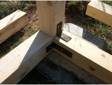 ���� ������, �������� ������ �������, ���� �������