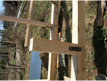 ��� ������ ������ �����, �� 5